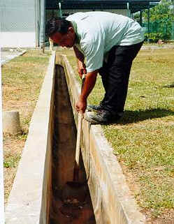 wpeC.jpg (15673 bytes)